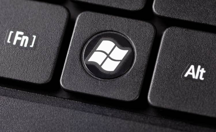 zdjęcie ilustracyjne, fot. Shutterstock/tomeqs