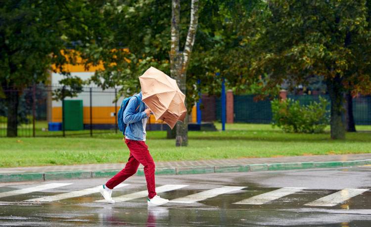 Pilne ostrzeżenie IMGW. Silny wiatr nad Polską, fot. Shutterstock