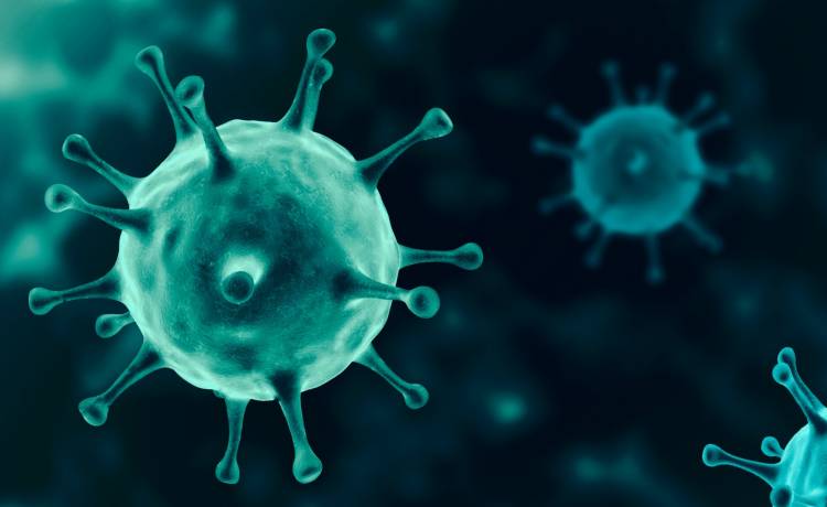  Lek na Covid-19. Pfizer testuje