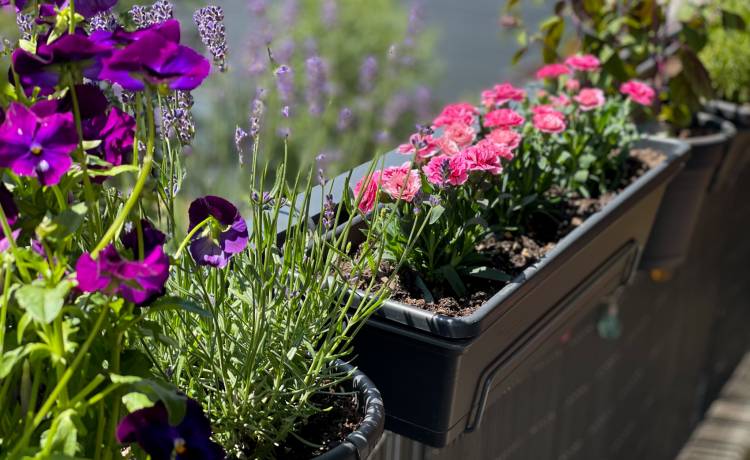 Fot. Shutterstock/Lapa Smile