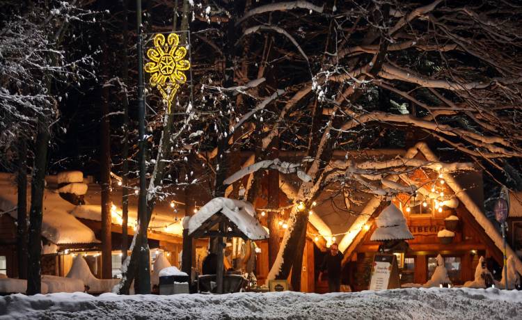 Fot. PAP/Grzegorz Momot