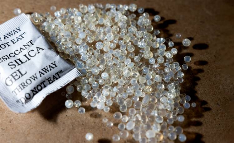 fot. shutterstock.com