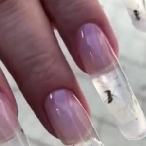 W paznokciach zamknęli... żywe mrówki. Internauci zgodni: "Ohydne i okrutne" [WIDEO]