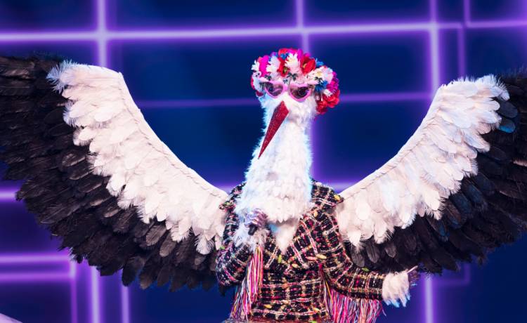 "Mask Singer". Widzowie są pewni, że to ona jest Bocianem. Tropy to potwierdzają