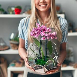 Co wsypać do storczyka, żeby odżył? Wystarczy jeden składnik z kuchni, a orchidea zacznie kwitnąć jak szalona!