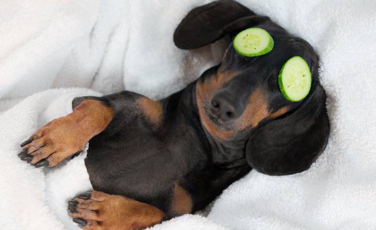 5 prostych sposobów na redukcję stresu! Jak zrelaksować się w kilka minut? 