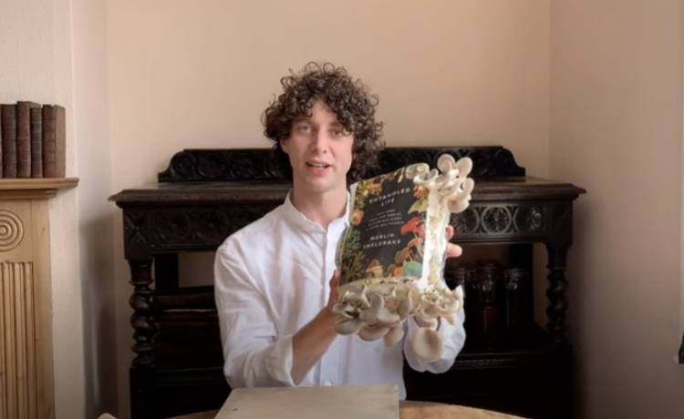 Napisał książkę o grzybach, wyhodował je na niej... a potem usmażył i zjadł [WIDEO]