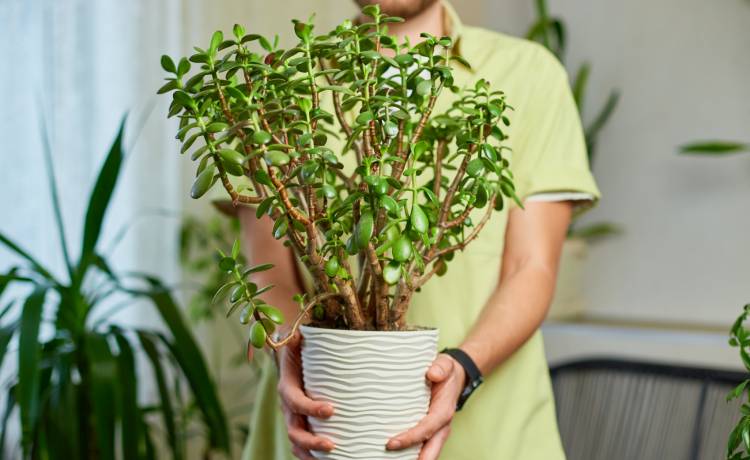 fot. shutterstock.com 