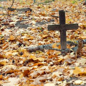 Pierwszy ekologiczny cmentarz powstał w Paryżu