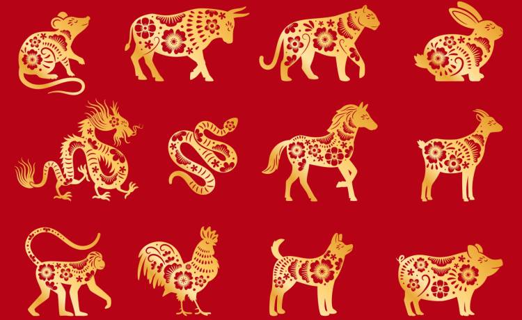 Chiński horoskop. Sprawdź swój znak zodiaku!