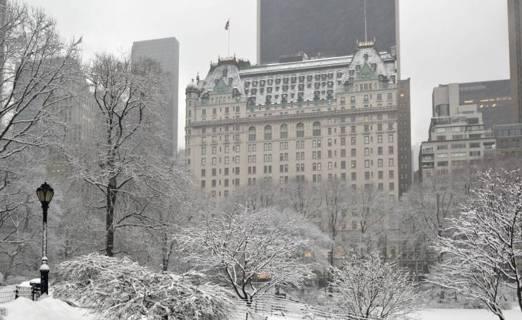 Hotel z filmu "Kevin sam w Nowym Jorku" ma dla fanów unikatową ofertę