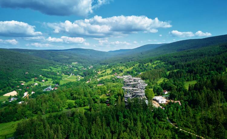 fot. shutterstock.com