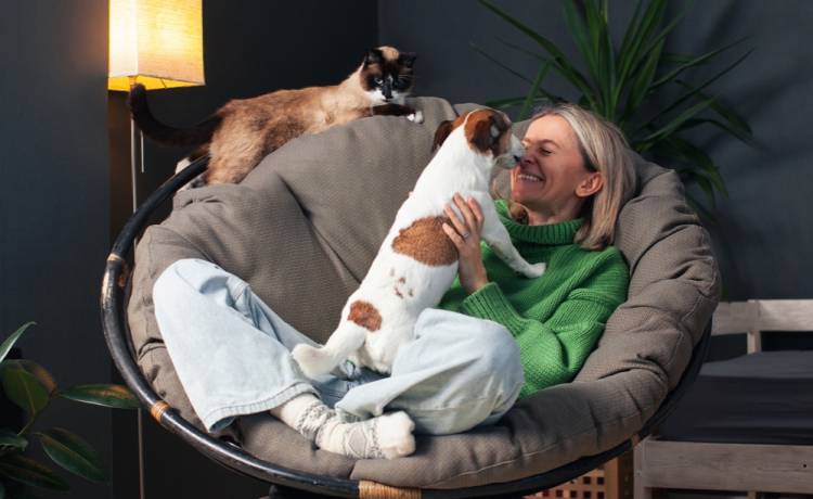 Dofinansowanie dla zwierząt. Jak skorzystać z „500 plus na psa i kota”?, fot. Shutterstock