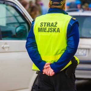 Pies wypadł z drugiego piętra. KTOZ: "Trwają ustalenia, co wydarzyło się na miejscu wypadku"