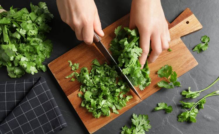 fot. shutterstock.com