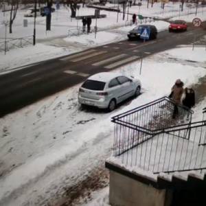 Policja eskortowała... łabędzia. "Zdarzają się i takie niecodzienne interwencje" [WIDEO]