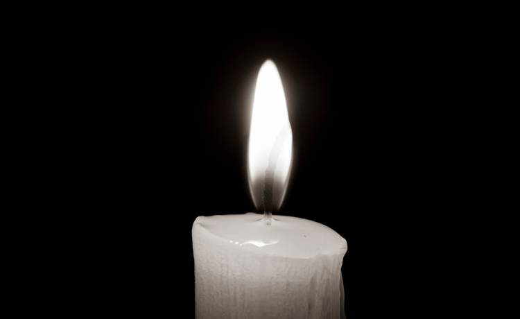 Melnikov Dmitriy/Shutterstock