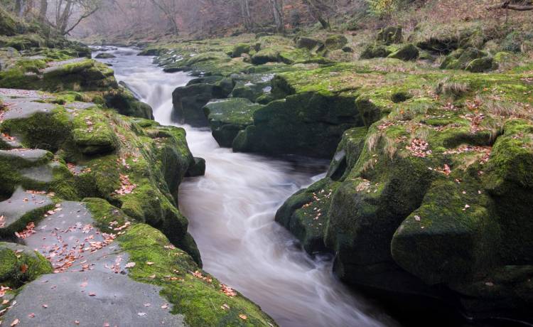 Ta rzeka uchodzi za śmiercionośną. To jedno z najniebezpieczniejszych miejsc na Ziemi [FOTO]