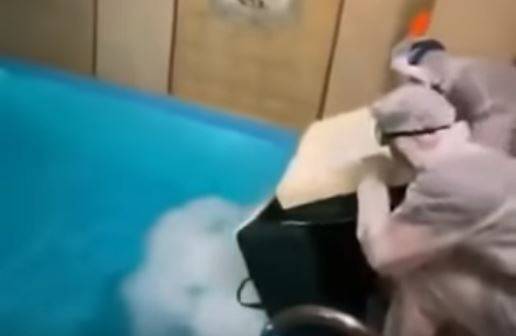 Nieprzemyślane urodziny rosyjskiej blogerki. Nie żyją trzy osoby