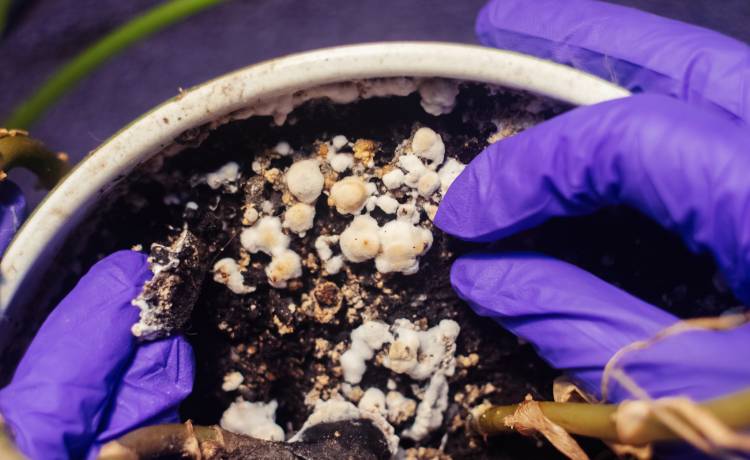 fot. shutterstock.com