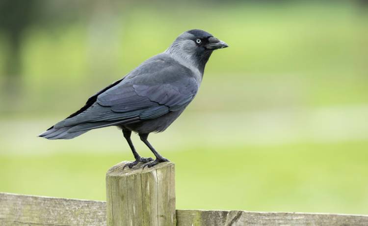 fot. shutterstock.com