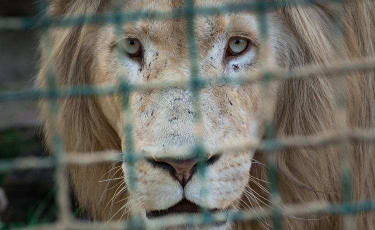 fot. shutterstock.com