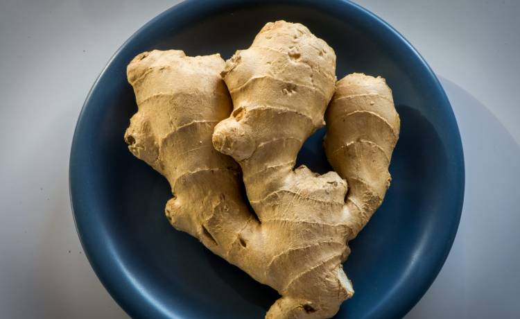 Tytus Żmijewski/PAP