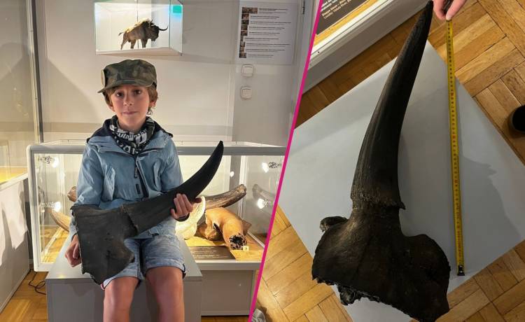 fot. facebook.com/muzeum.ziemi.pan