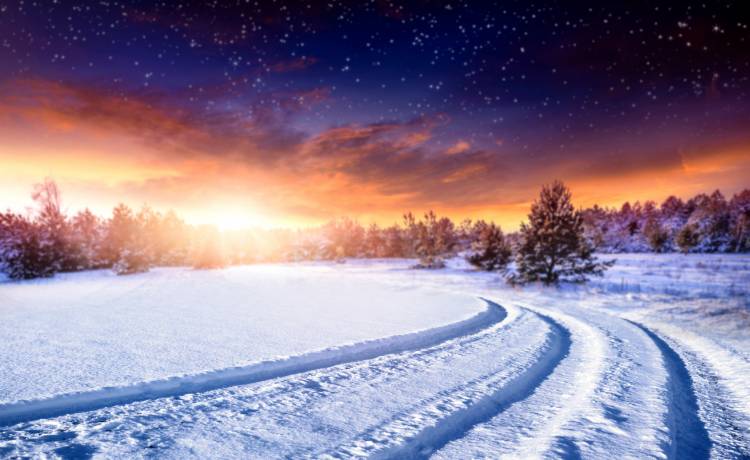 fot. S_Photo/Shutterstock