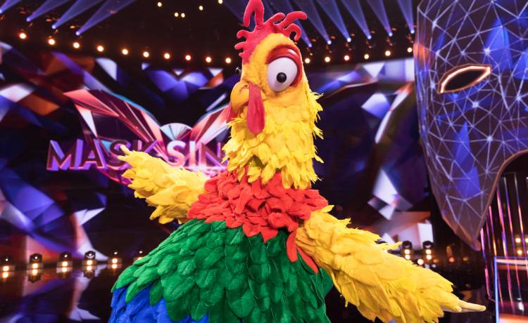 "Mask Singer". Widzom udało się odkryć tożsamość Koguta? To twardy orzech do zgryzienia