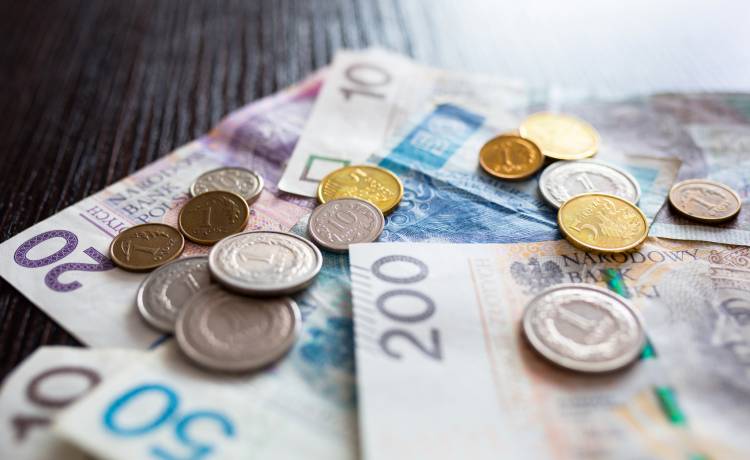 Nowa srebrna moneta NBP już w sprzedaży, fot. Shutterstock