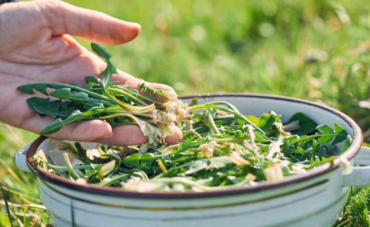 fot. shutterstock.com