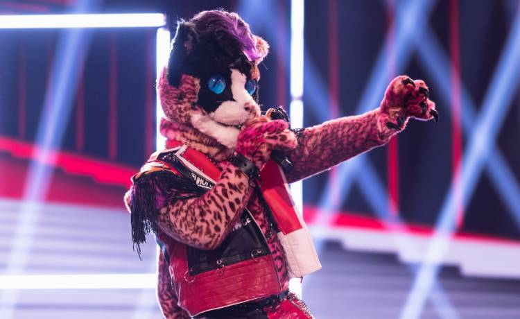 "Mask Singer". Kim jest Kot? Internauci typują dwie osoby!