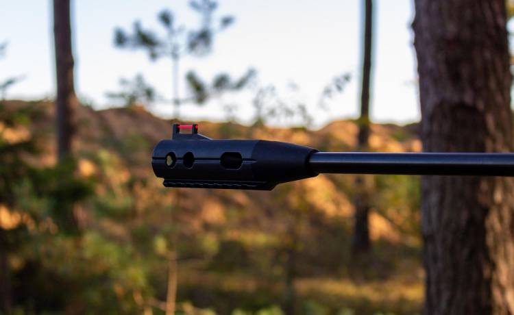 fot. materiały prasowe