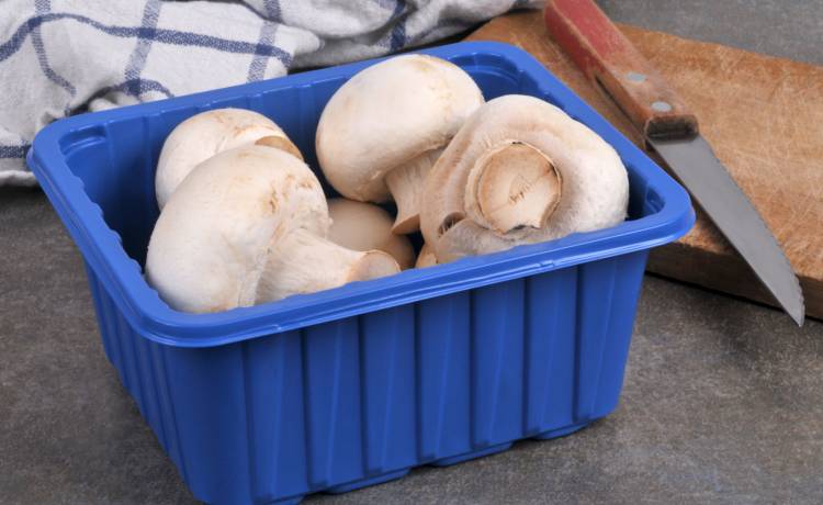 Trzymasz pieczarki w pojemniku ze sklepu? Lepiej tego nie rób