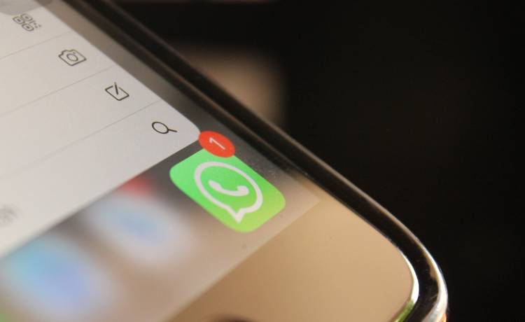 fot. shutterstock.com 