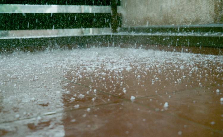 Fot. Shutterstock/Flystock