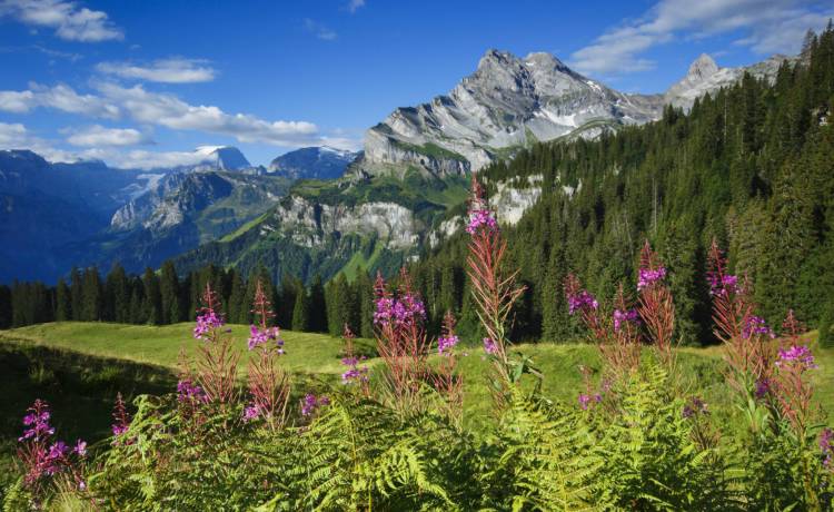 Alpy widoczne z Polski? To nie żart