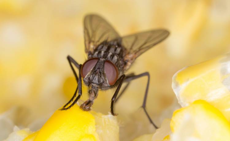 fot. shutterstock.com