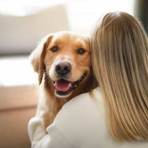  „Podatek od psa” idzie w górę! Sprawdź, ile zapłacisz w 2026 roku