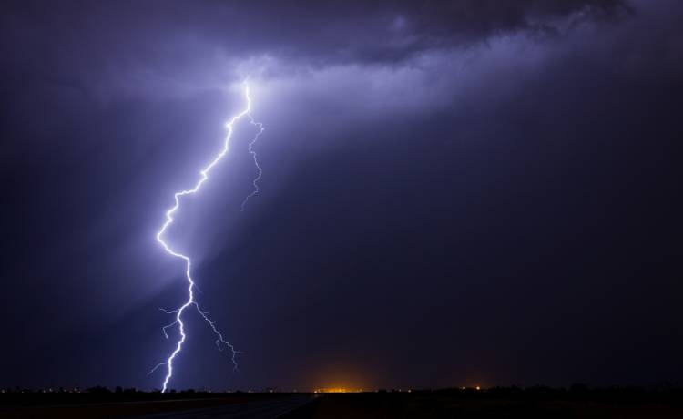 Fot. Sutterstock/John D Sirlin