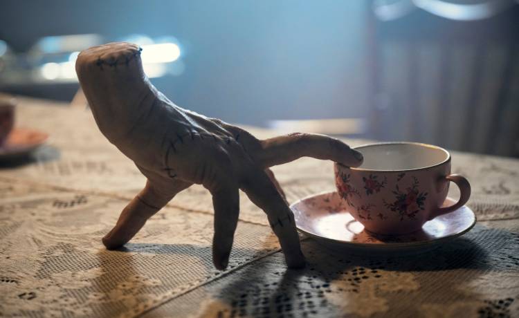 fot. Materiały prasowe 