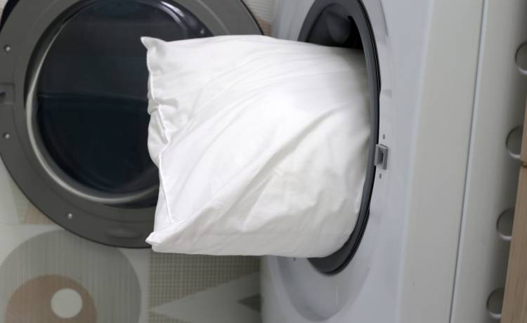 fot. shutterstock.com