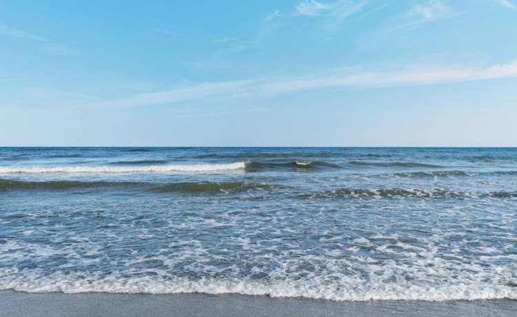 Mięsożerna bakteria zaatakowała mięśnie 30-latka. Złapał ją w Bałtyku