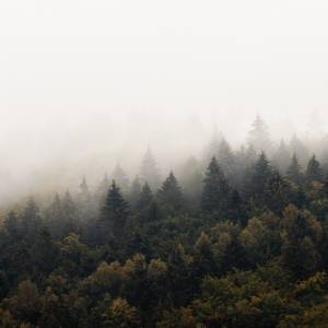 Czym lub kim jest postać uchwycona przez kamerę? Tajemniczy kadr obiegł sieć [FOTO]