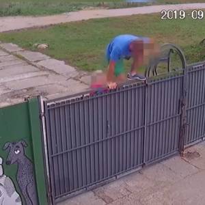 Włamali się na teren schroniska i podrzucili psa! Zobacz film! 