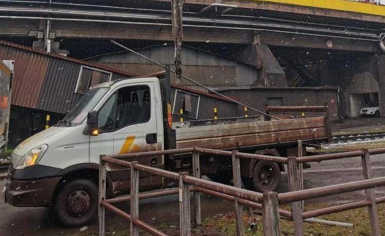 Sum-gigant zatkał kanalizację. Miał ponad dwa metry, ważył ponad 100 kilogramów [WIDEO]