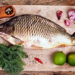 Wszystko, co powinieneś wiedzieć o karpiu (i innych rybach), by już nigdy nie smakowały mułem czy błotem! 3 proste sposoby