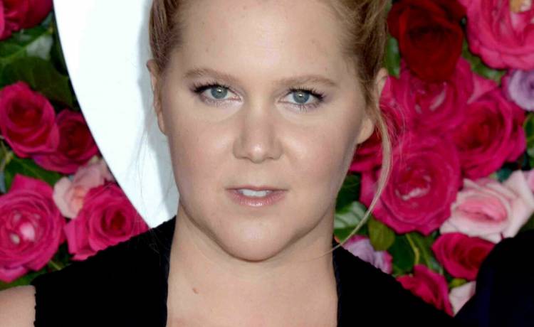 Amy Schumer, fot. Van Tine Dennis/ABACA/EAST NEWS