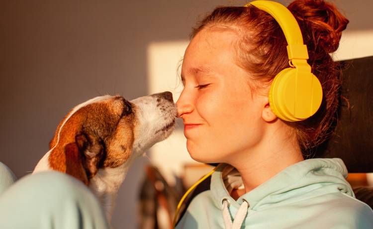 fot. shutterstock.com 